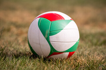 Volleyball on Grass in a Garden