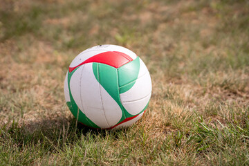 Volleyball on Grass in a Garden