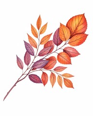 Ein Zweig mit mehreren rot, orange und violett gefärbten Blättern auf einem weißen Hintergrund, Platz für Text, Generative KI