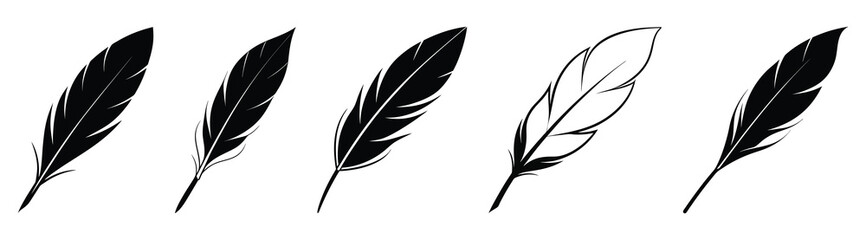 Black fluffy feather. Hand drawing vintage art realistic quill feathers for pen detailed isolated vector elegant silhouette sketch bird plume set