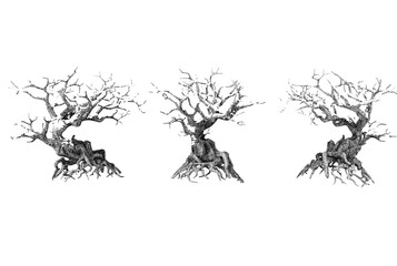 The design features three ancient, gnarled trees with extensive root systems exposed, giving the impression of trees that have weathered countless storms.