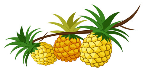pineapple vector illustration - vector illustration of pineapple isolated on white, pineapple vector art