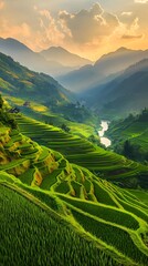 Rice terrace landscape in Vietnam, mountains and rice fields