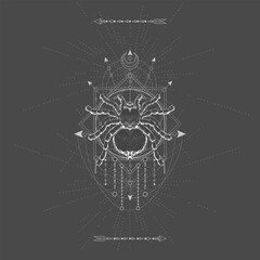 St0467Vector illustration with hand drawn Spider Tarantula and Sacred geometric symbol on black background. Abstract mystic sign. White linear shape. 