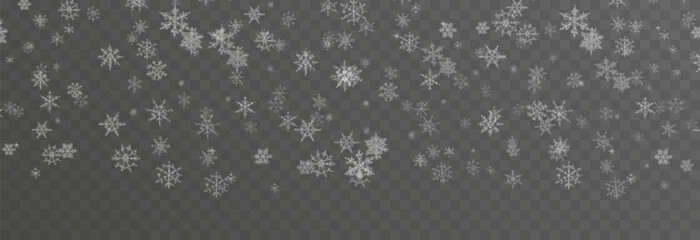 Vector snow falling from above. Snowfall on isolated transparent background. Christmas or winter background. Snow or snowflakes png.