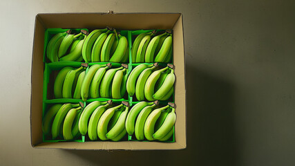 Fresh Green Bananas Perfectly Arranged in a Cardboard Box
