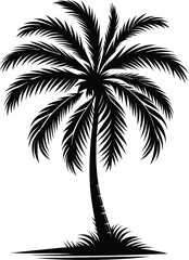 Fototapeta premium palm tree silhouette