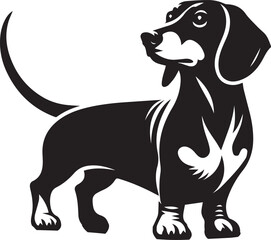 Dachshund dog cute vector
