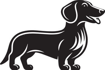 Dachshund dog cute vector