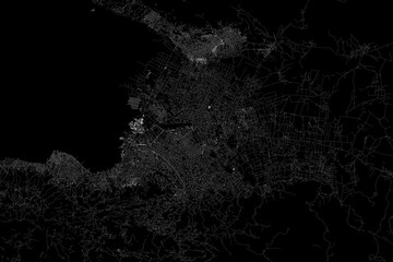 Stylized map of the streets of Port Au Prince (Haiti) made with white lines on black background. Top view. 3d render, illustration