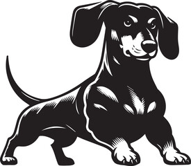 Dachshund dog cute vector