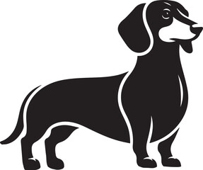 Dachshund dog cute vector