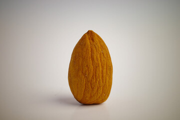 Single almond nut standing upright on a plain white surface  © Mohammed