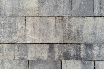 Cobblestone by the House with Moss