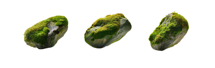 Three moss-covered rocks isolated against a white background.