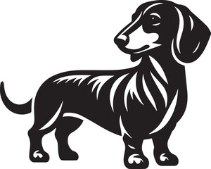 Dachshund dog cute vector