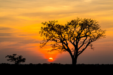 sunset in the serengeti