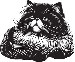 Persian cat big hair cute vector