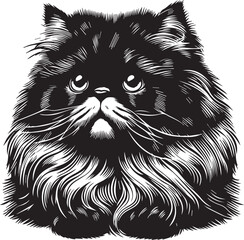Persian cat big hair cute vector