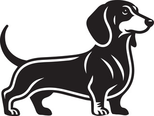 Dachshund dog cute vector