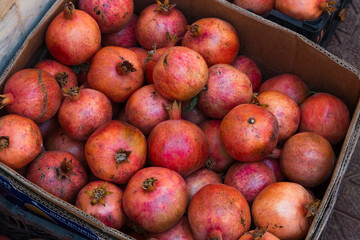 A background of fresh pomegranates in a box in perfect details. 