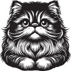 Persian cat big hair cute vector