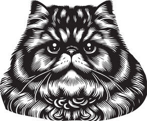 Persian cat big hair cute vector