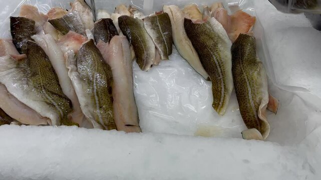 cod fillets are put in a bag on ice in a supermarket. buying raw fish. omega vitamins