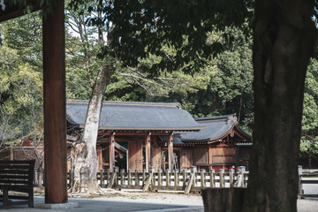  [NARA]A famous shrine surrounded by nature in Nara Prefecture, The natural greenery shines brightly, Kashihara Shrine, Japan