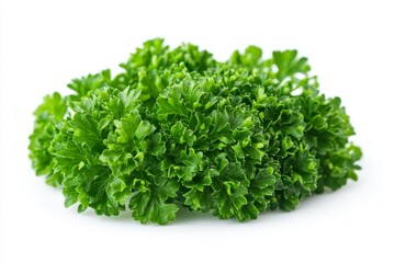Obraz premium Fresh Green Parsley Sprig Isolated on White Background