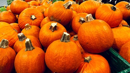 close up many big round pumpkins are sold in the supermarket before Halloween in big green plastic boxes. lots of vegetables. vitamins. side view