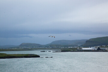 Lovely Iceland Mountain