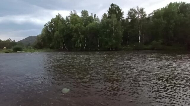 Wide bed of calm river flowing through evening summer valley in early evening. Sema river, Altai, Siberia, Russia.