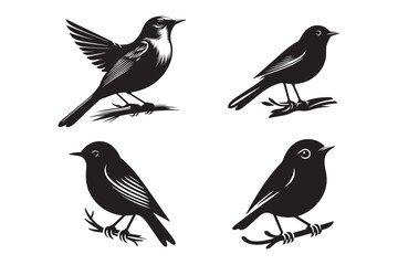 Nightingale Silhouette Clipart Bundle, Nightingale Bird Black Vector Set