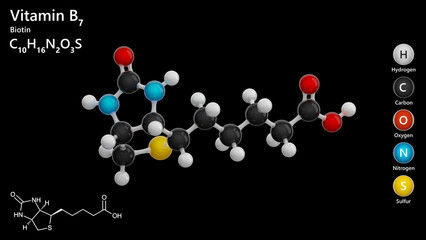 Biotin, or B7 vitamin. 3d model of molecule. Molecular formula: C10H16N2O3S. Chemical model: Ball and Stick. Black background. 3d illustration