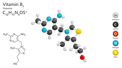 Thiamine or B1 vitamin. 3d model of molecule. Molecular formula: C12H17N4OS. Chemical model: Ball and Stick. white background. 3d illustration