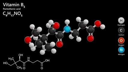 Pantothenic acid or B5 vitamin. 3d model of molecule. Molecular formula: C9H17NO5. Chemical model: Ball and Stick. Black background. 3d illustration