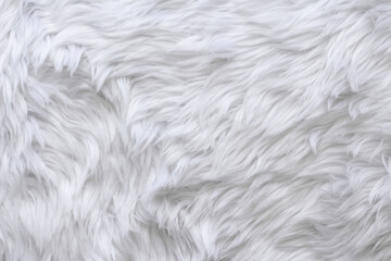 white wool texture background, close up of a long wool carpet