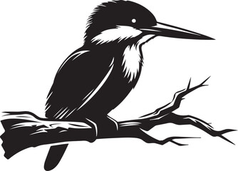 Kingfisher birds silhouette vector illustration