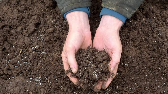 Fertility concept. Potassium nitrogen fertilizers in bare hands farmer. Top view for control soil quality before seed plant. Smart farming, using modern technologies agriculture. Future concept.
