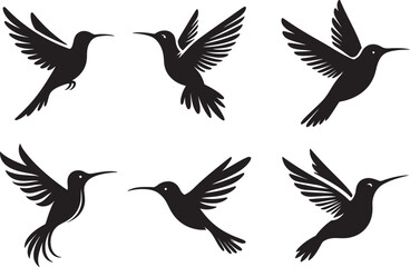 A collection of various hummingbird silhouette. Vector tropical bird hummingbird silhouette. 