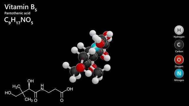 Pantothenic acid or B5 vitamin. Animated 3d model of molecule. Molecular formula: C9H17NO5. Chemical model: Ball and Stick. Black background. 3D rendering. Seamless loop.