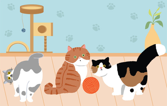 Flat international cat day