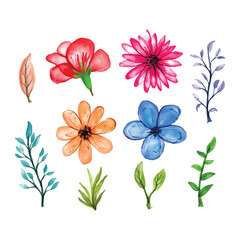 watercolor flower clipart. leaf 