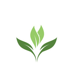 Green leaf logo vector element symbol template