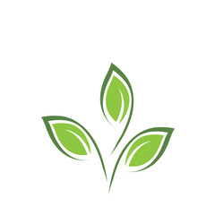 Green leaf logo vector element symbol template