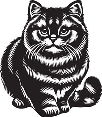 Scottish Fold Cat Cute Vector 
