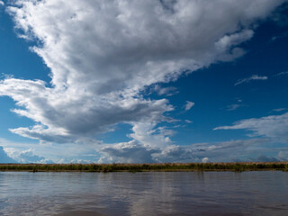 Obraz premium River landscape on a branch of the Amazon near the small town of Jutaí.