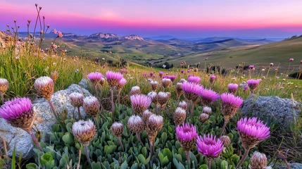 Scenic view of blooming wildflowers against a mountainous landscape during a vibrant sunset, featuring pink and purple hues in the sky.