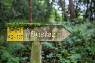 Route of the Profundu River, Villaviciosa, Asturias, Spain